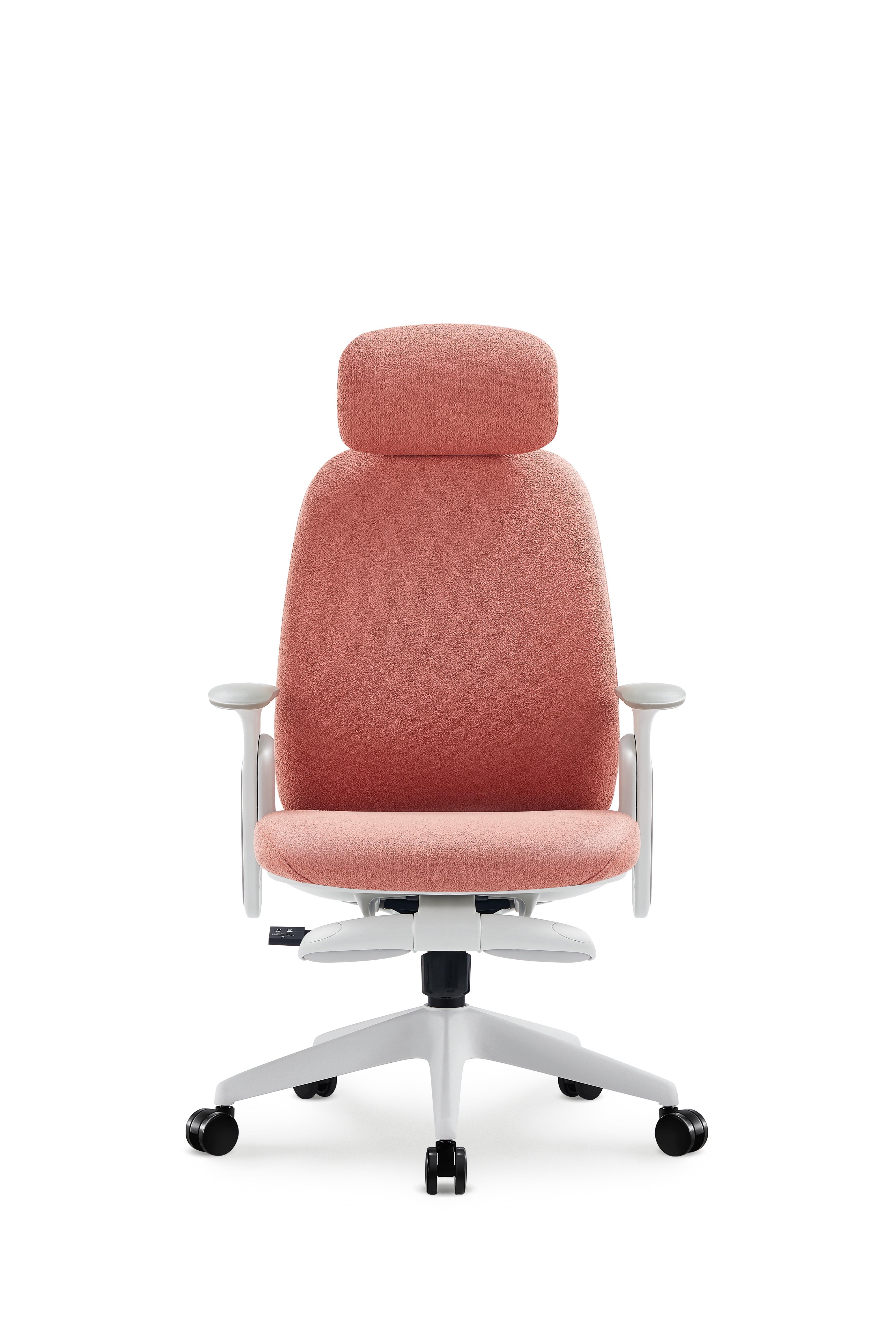 Napa Ergonomic Chair - Image 24